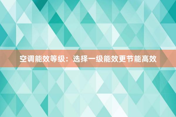 空调能效等级：选择一级能效更节能高效