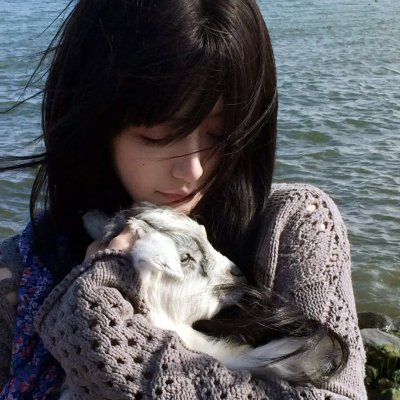 浴血黑帮第五季 海报